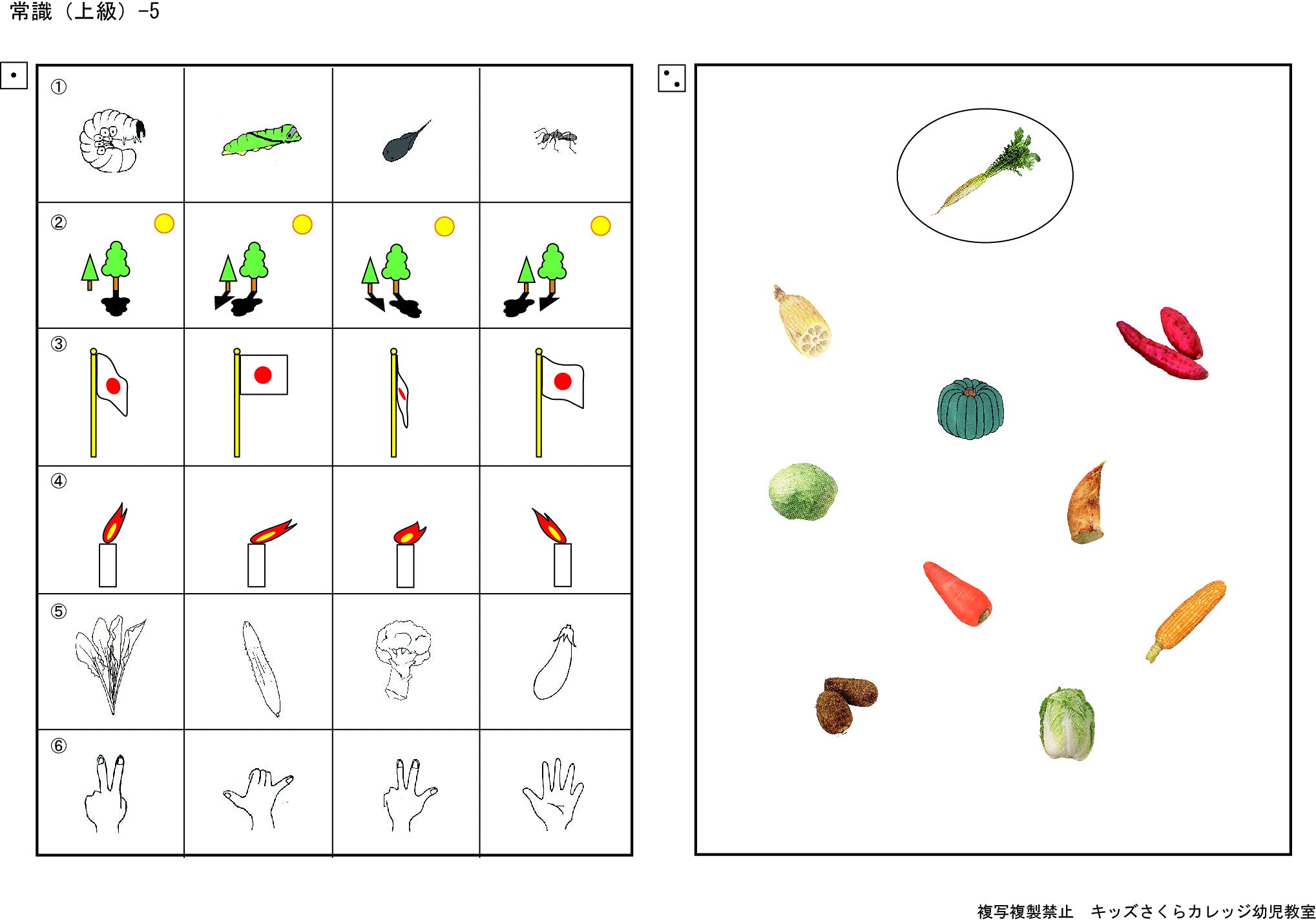 Amazon.co.jp: 私立小学校入試 問題集 分野別 常識 上級セット : おもちゃ